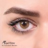 لنز شماره 15 مدل Caramel Brown رویال ویژن